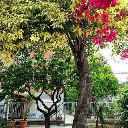 Bouganville House Trastevere * Rome